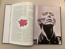 Load image into Gallery viewer, David Bowie and Cracked Actor: The Fly in The Milk