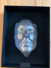 Load image into Gallery viewer, David Bowie and Cracked Actor: The Fly in The Milk